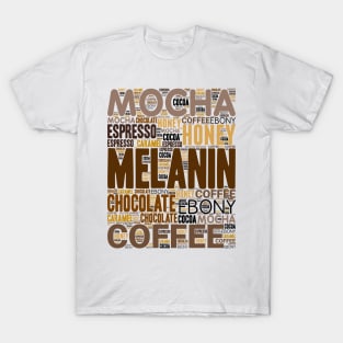 Melanin Shades of Brown | Every Shade Slays T-Shirt